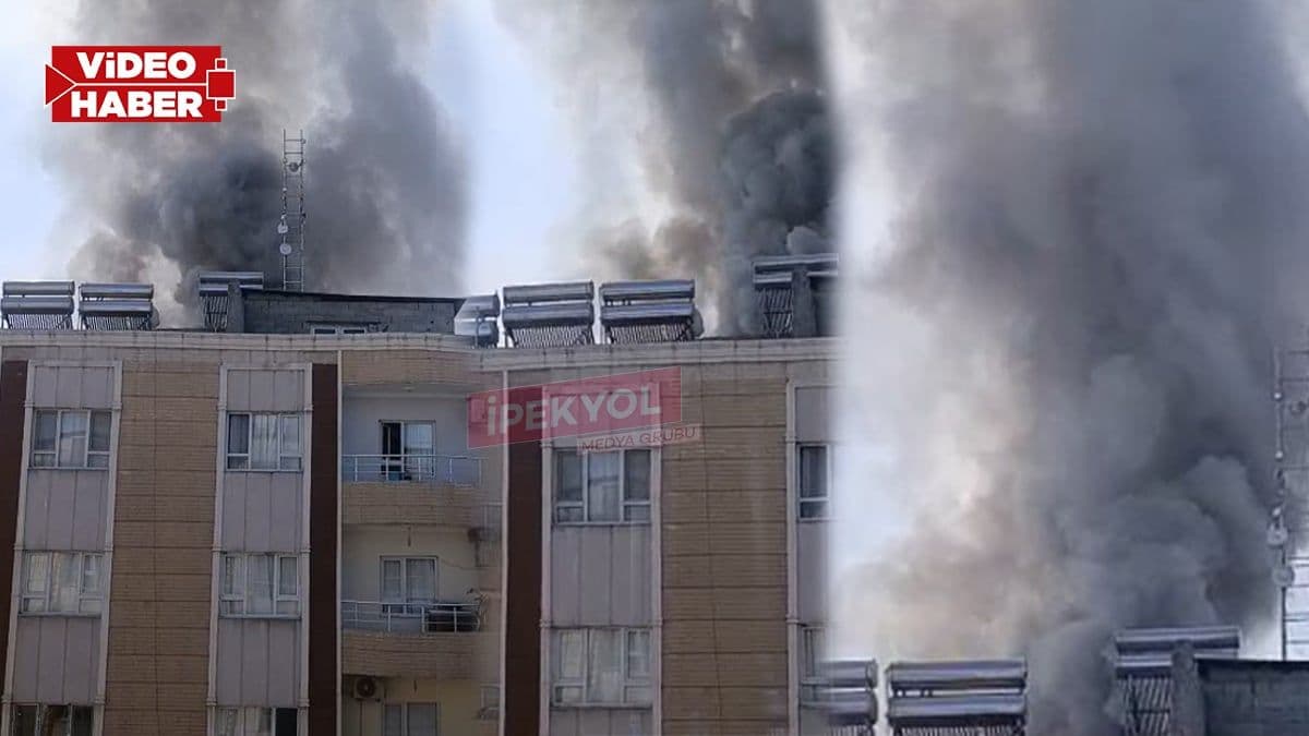 Ceylanpınar'da apartmanda korkutan yangın! Dumandan etkilenenler var