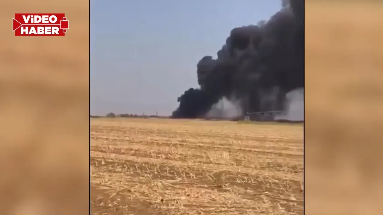 Ceylanpınar TİGEM’DE yangın: Gökyüzünü siyah dumanlar kapladı